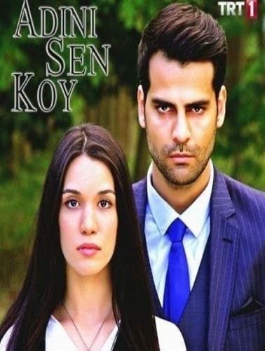 Download Subtitles for Adini sen koy - Subtitlist